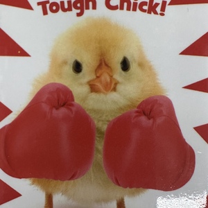 Fundraising Page: Michelle Sloat